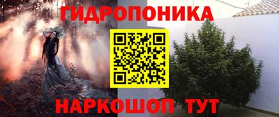 метадон Гай