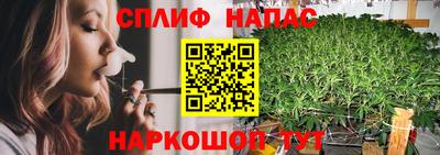 метадон Гай