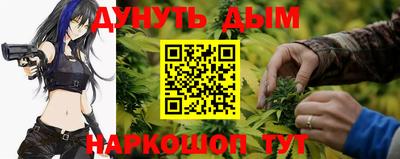 метадон Гай