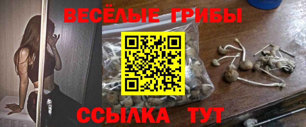 Галлюциногенные грибы мухоморы  Вход с VPN  Белогорск 
